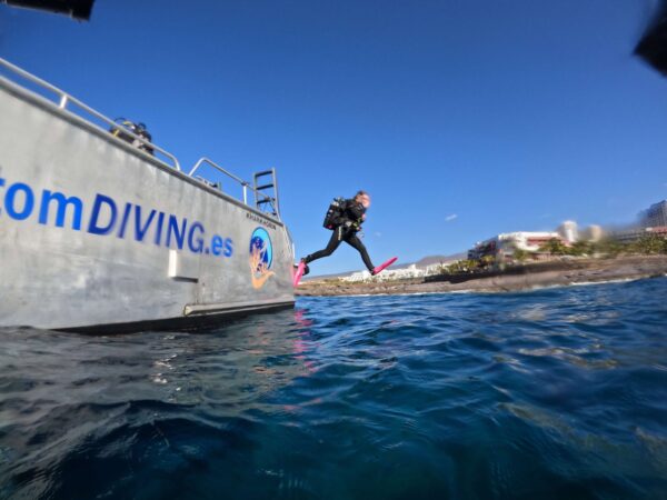 Christmas and New Year Diving in Tenerife
