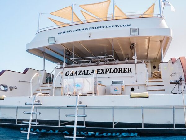 Egypt Liveaboard Trip